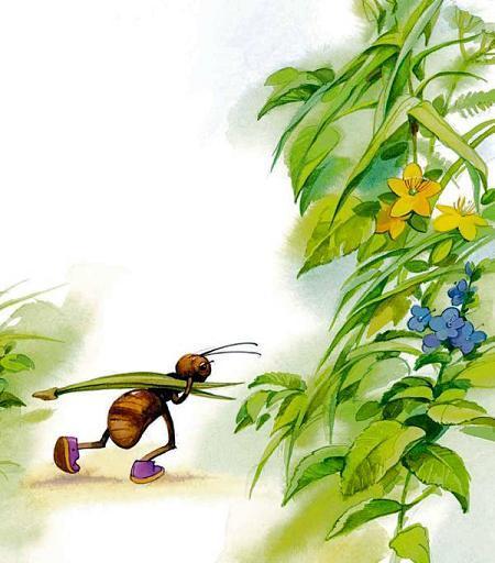 муравей несет травинку