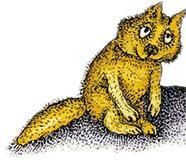 Камышовые лошадки 73