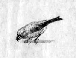 Листобой: Капитан Клюквин Капитан Клюквин