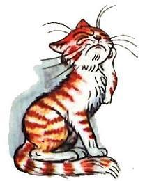 Капризная кошка