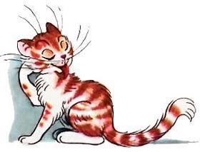 Капризная кошка