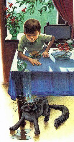 мальчик опрокинул стакан воды на кота