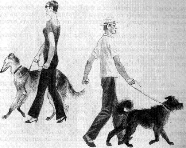 Листобой: Картофельная собака Картофельная собака