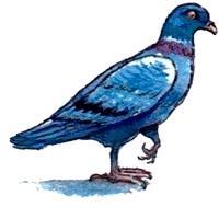 Каспар, принц котов (повесть) Каспар, принц котов