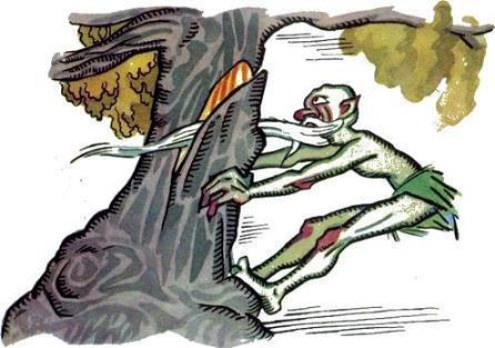 Катигорошек