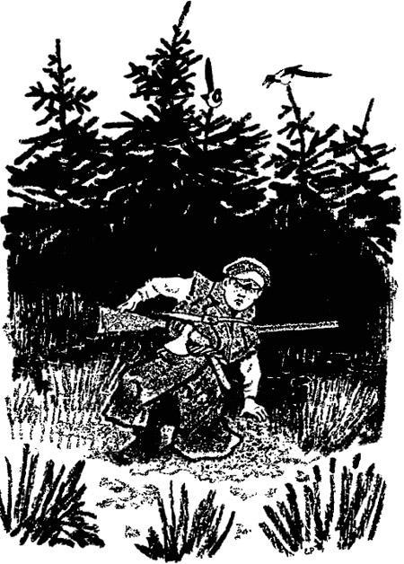 Кладовая солнца (сказка-быль) Кладовая солнца