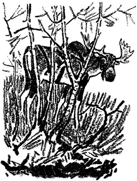 Кладовая солнца (сказка-быль) Кладовая солнца