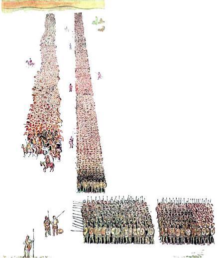 Боевой порядок беотийцев.