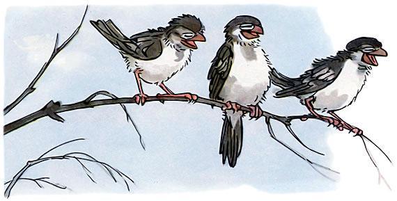 воробьи на ветке
