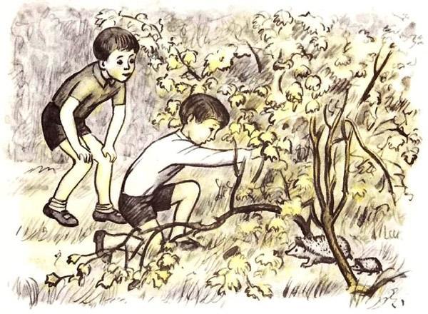 Колючая семейка (рассказ) 02