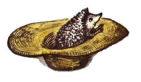 Колючая семейка (рассказ) 06