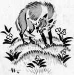 Конь, петух, баран, зайчишка и волк (сказка) Конь, петух, баран, зайчишка и волк