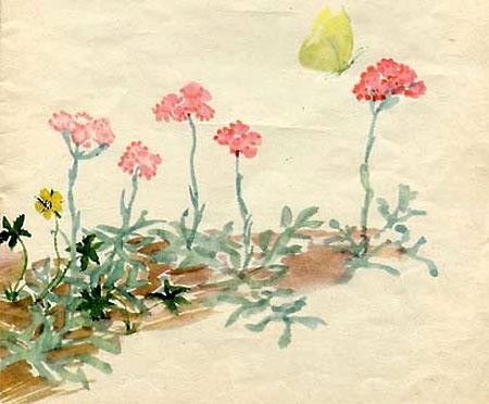 Кошачьи лапки