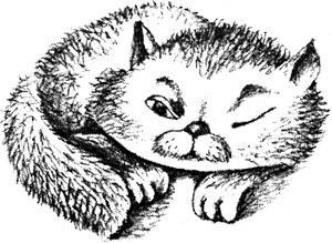 Кошачий король 156