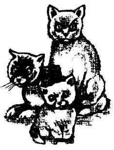 Кошачья Леди (сказка Дика Кинга-Смита) Кошачья Леди