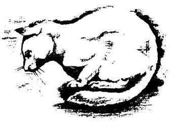 Кошачья Леди (сказка Дика Кинга-Смита) Кошачья Леди