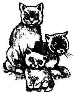 Кошачья Леди (сказка Дика Кинга-Смита) Кошачья Леди