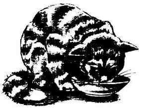 Кошачья Леди (сказка Дика Кинга-Смита) Кошачья Леди