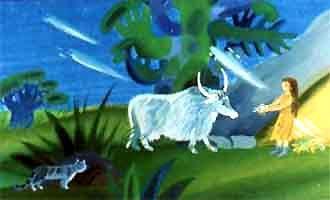 женщина и дикая корова