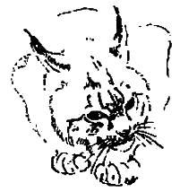 Кошка Машка (рассказ) 011