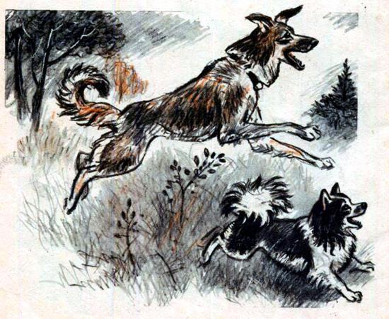 Кошка и лисица (басня) Кошка и лисица