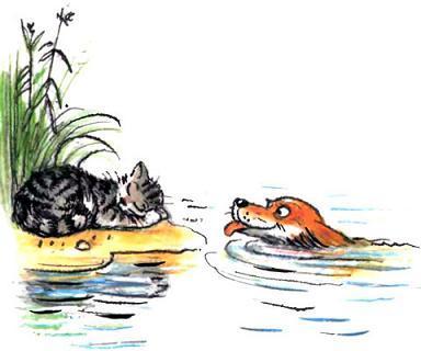 кошка спит на песке а пес плавает в воде