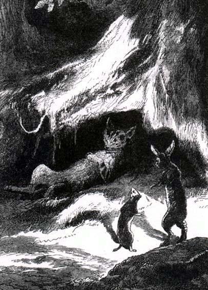 Кот, ласочка и кролик (басня) Кот, ласочка и кролик