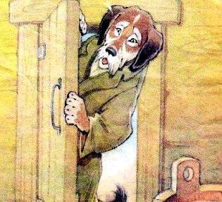 Кот-скорняк