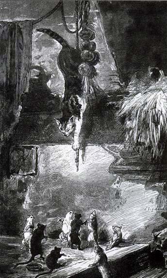 Кот и старая крыса