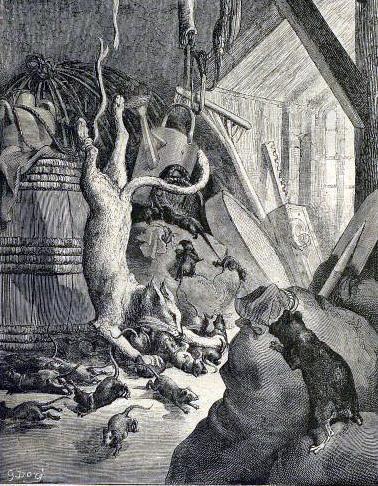 Кот и старая крыса