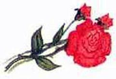 Кот в сапогах ищет клад (повесть-сказка) цветок