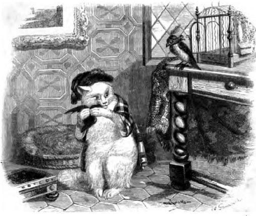 Котенок и скворец