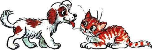 Котёнок Гав