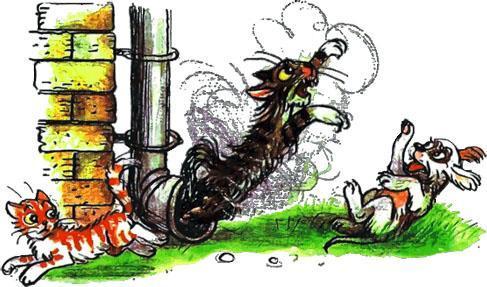 Котёнок Гав