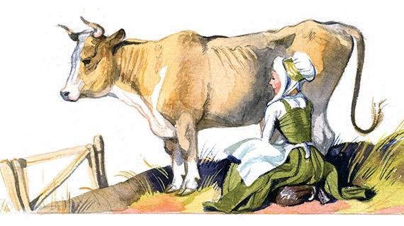 доит корову