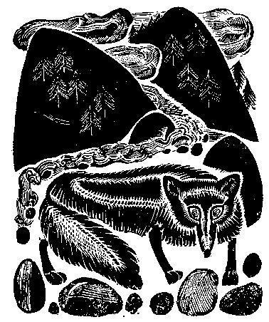 Красная лиса и сыгырган-сеноставец (алтайская сказка) Красная лиса и сыгырган-сеноставец