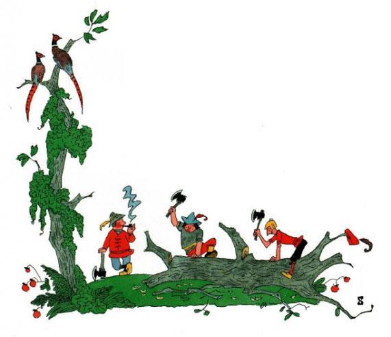 Красная шапочка 16