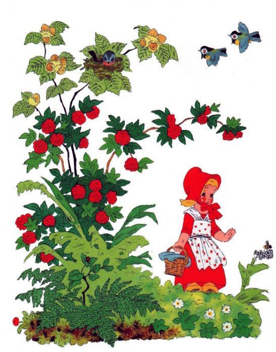 Красная шапочка 12