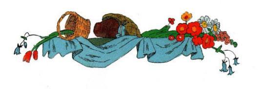 Красная шапочка 22