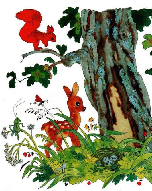 Красная шапочка 8