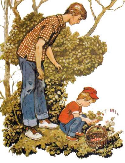  Андрюша с папой  собирают грибы в лесу