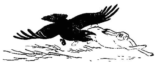 Крылатый охотник (рассказ) 040