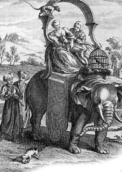 Крыса и слон