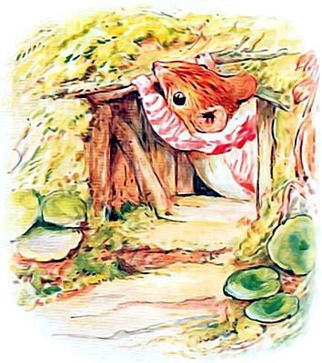 Кролик Питер и его друзья: Сказка про миссис Мыштон