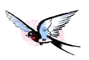 Кто такой нофелет ? (стих) ласточка