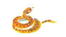 Кто видит ушами? змея