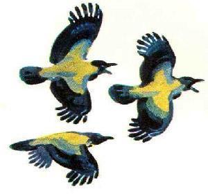 Кто видит ушами? вороны летят