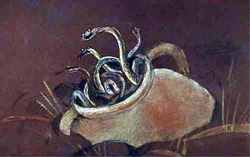 Кувшин со змеями