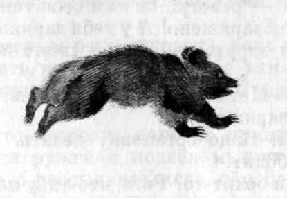 Листобой: Лабаз Лабаз