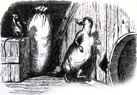 Ласочка в амбаре